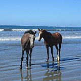 Costa Rica20150409-1630-0318